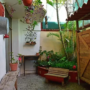 My Local Vallarta Bed and breakfast